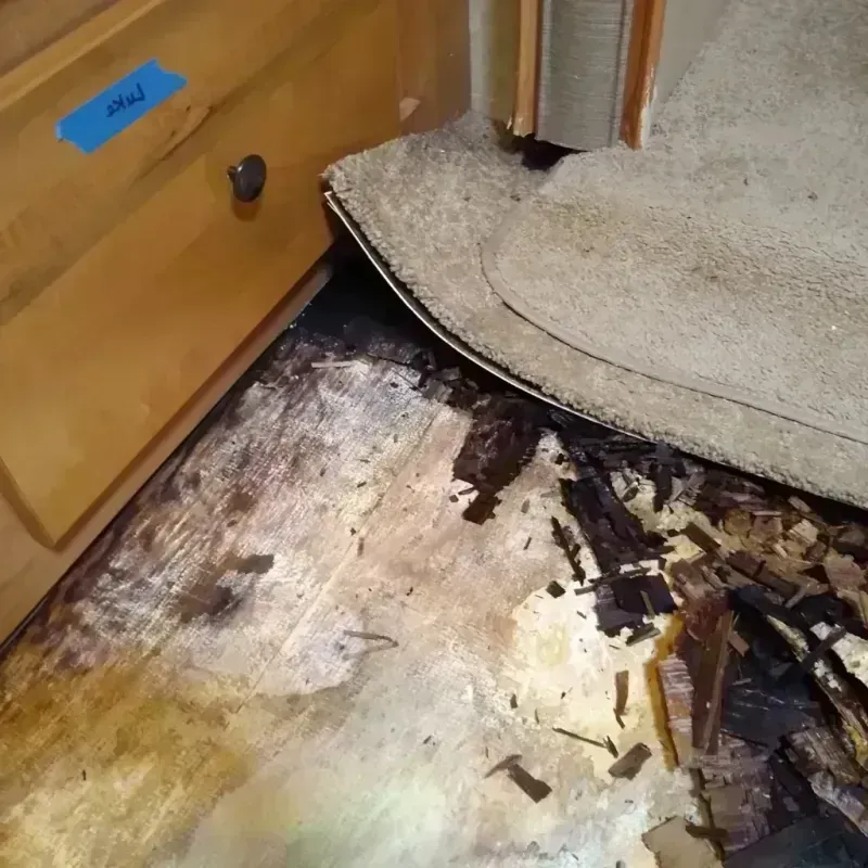 Wood Floor Water Damage in Dunlap, OH